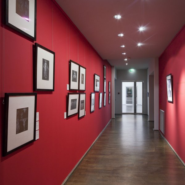 Framed photos on red gallery wall hung from paintable ArtiTeq primer Click Rail picture rail with clear perlon wires