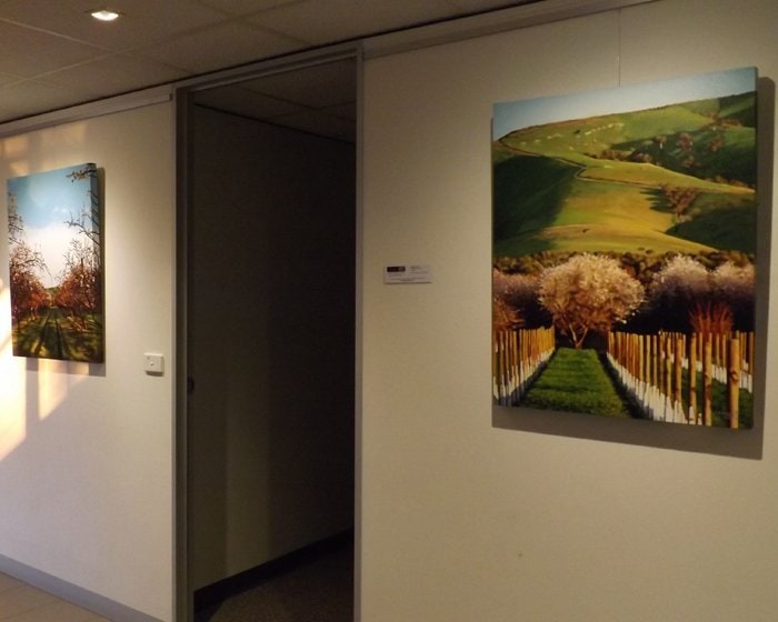 Picture Hanging System installed at Harris Orchard