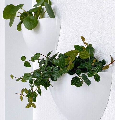 Artiteq Botaniq Botaniq 1.25L White