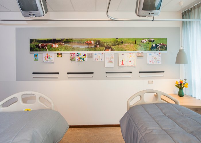 Picture hanging systems in healthcare