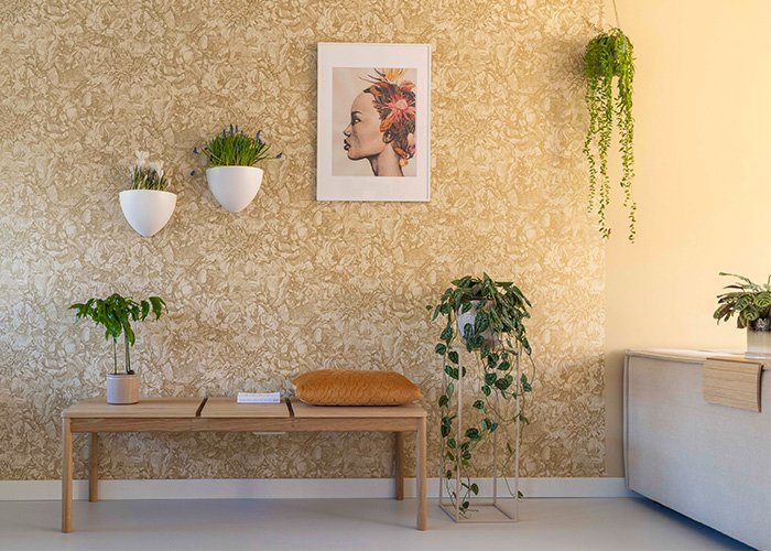 Hanging-plants-article