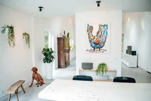 Modern living room with abstract art on picture rails, white walls, wood furniture, green plants, and a dog.