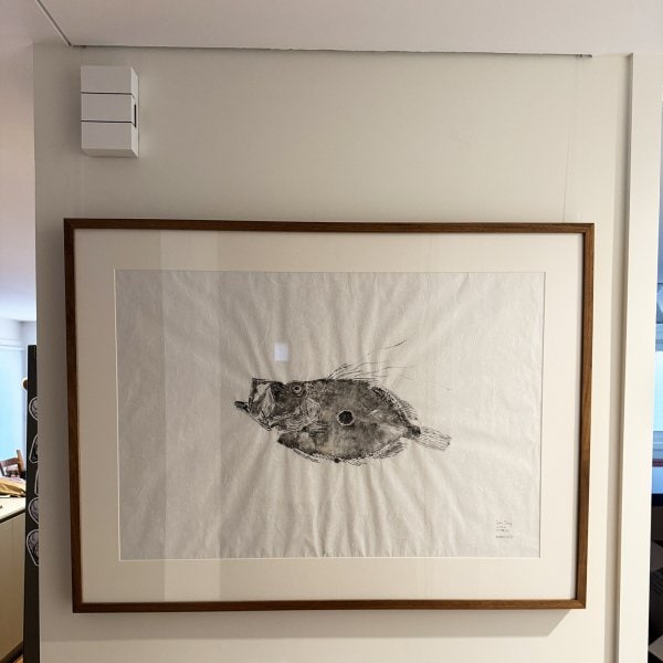 Framed ink drawing hung on wires from hidden ArtiTeq Shadowline Drywall picture rail in square set ceiling