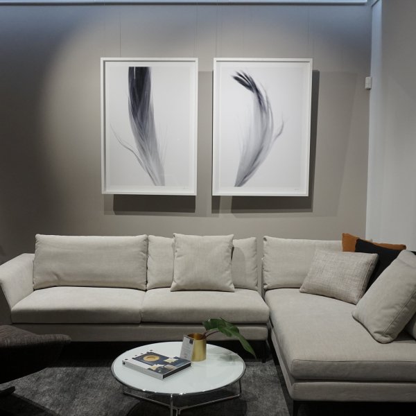 Two framed feather prints above grey sectional sofa hung on clear wires from ArtiTeq Top Rail ceiling picture rail